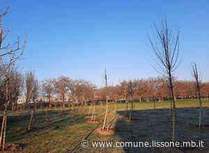 Comunicato stampa - Pratone: già completate le nuove piantumazioni, al via l'edificazione su suolo privato: "Scelta ereditata dal passato, mitighiamo l'impatto col progetto di restyling dell'area verde". - Comune di Lissone