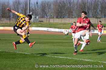 Allan goal seals Berwick win in Lowland Cup tie - Northumberland Gazette