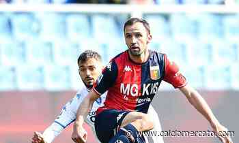 Genoa, Badelj: 'Resto ancora un anno. Anche perché non retrocederemo...' - Calciomercato.com