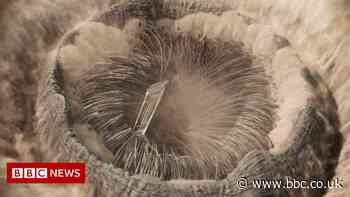 Dune: How we made sand dunes and sandworms real