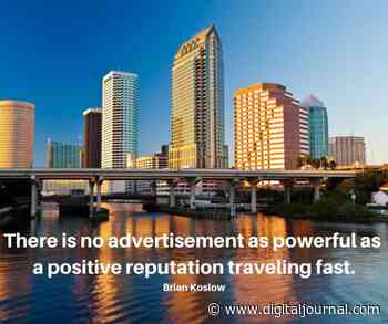 Palm Harbor FL Dental SEO – Local Search Marketing/Visibility Service Updated - Digital Journal