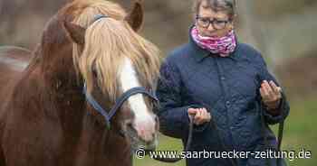 Neues Semester mit neuem Programm bei der VHS Merzig-Wadern - Saarbrücker Zeitung