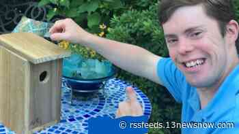 Family has already raised more than $85,000 building birdhouses for charity