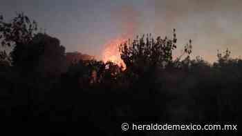 Conafor reporta 9 incendios forestales en Colima; la mayoría en Manzanillo - El Heraldo de México