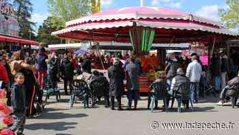 Montech. Vide-greniers et floralies aux fêtes de printemps - LaDepeche.fr