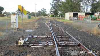 "The case in favour is overwhelming": Cash for freight rail business case