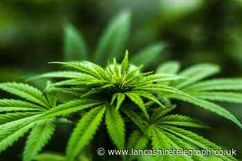 Police raid on 'DIY' drugs farm in Darwen