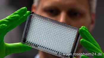 Ärmel hoch gegen Blutkrebs: Rosenheimer Gymnasium organisiert für 1. April Typisierungsaktion