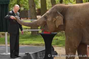 Philip's wildlife, sporting, military and science charities among guests - Ealing Times