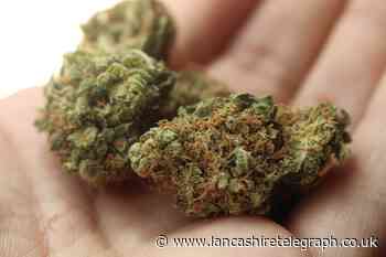 Man from Nelson set up cannabis farm to 'feed own addiction'