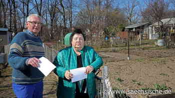 Riesa: Riesa: Wie laut darf es in einer Gartensparte sein? - Sächsische.de