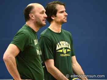 Golden Bears volleyball succession plan leads to the ultimate success - Edmonton Sun
