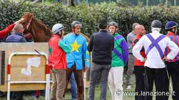 Corse a Fucecchio, fra frustate e rivalse - LA NAZIONE