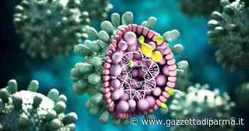 A Parma si sperimentano tre nuovi farmaci per l'Epatite B - Gazzetta di Parma