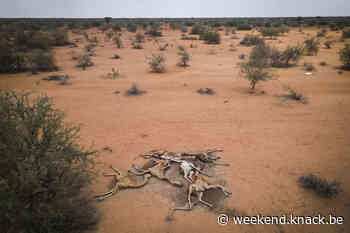In beeld: extreme droogte in de Hoorn van Afrika bedreigt de levens van 13 miljoen mensen