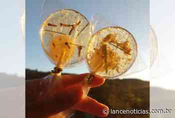 Moradora de Faxinal dos Guedes investe na produção de pirulitos de cristais - Lance Notícias