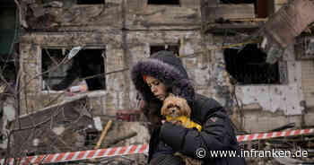 Tierheim Coburg bittet wegen Ukraine-Flüchtlingen um Hilfe - 'erste Anfragen und Tiere' - inFranken.de