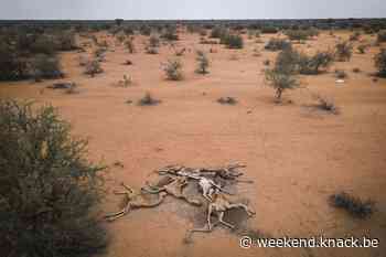 In beeld: door extreme droogte in de Hoorn van Afrika lijden 13 miljoen mensen honger