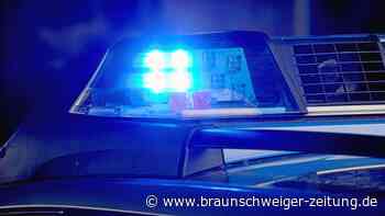 Weststadt: Braunschweiger Polizei stellt Gartenlauben-Einbrecher