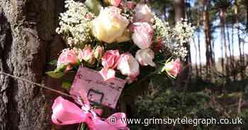 Three month old baby girl killed by Husky dog is named - Grimsby Live