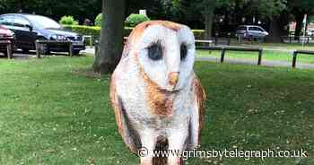 Anger at the theft of treasured sculptures from Grimsby parkland - Grimsby Live