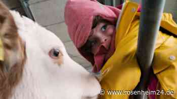 Integration auf dem Bauernhof: Ein Kindergarten in Soyen macht es vor