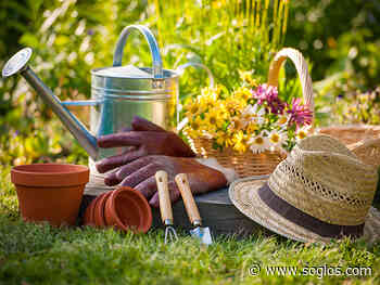 The Fairview Gardener launches new tool shed in time for spring - SoGlos