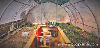 Local gardener turns green thumb into a blooming business - Albuquerque Journal