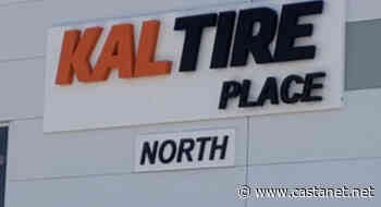 City of Vernon will test turf flooring from the Langley Events Centre in April - Vernon News - Castanet.net