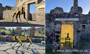 Pompeii enlists Spot the robot dog to inspect the ancient city's streets