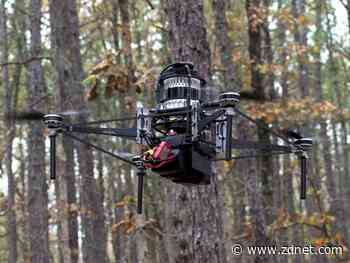 Can drones zipping through the forest prevent fires?