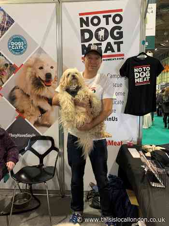 Dog saved from Chinese dog meat trade wins hearts at Crufts