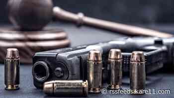Man charged with possession of 40 stolen firearms