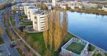 Amersfoorters bang nadat boom op woongebouw valt: nu gaan 14 reusachtige populieren tegen de vlakte - AD.nl