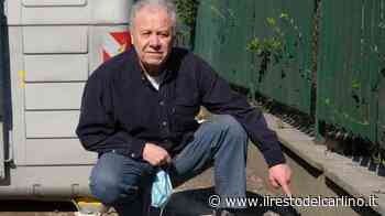 Topi a Modena, invasione in via Nobili: "Aiutateci" - il Resto del Carlino