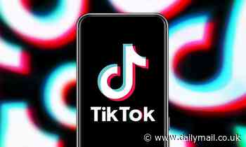 TikTok to finally let users look back over previously watched videos