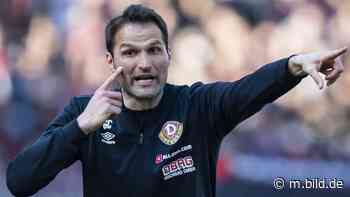 Dynamo Dresden - Capretti stellt die Taktik-Frage - 2. Bundesliga - Bild.de - BILD