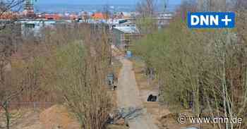 Südpark Dresden: Neuer Weg, neue Sporthalle - Dresdner Neueste Nachrichten