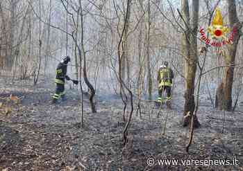 Un altro incendio nei boschi, vigili del fuoco al lavoro a Samarate - varesenews.it