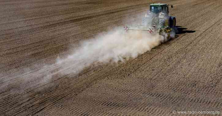 Zunehmende Trockenheit stört Wachstum von Agrarpflanzen