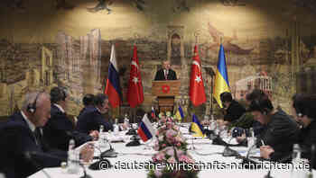 Friedensverhandlungen: Ukraine bietet Neutralität für Sicherheitsgarantien