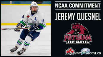 Commitment Alert | Hawks Jeremy Quesnel commits to SUNY Potsdam - CCHL