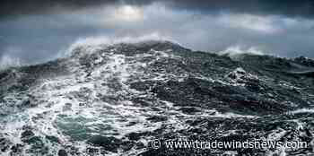 Speculation grows after Russia says cargo ship hull breached by 'strong waves' - TradeWinds