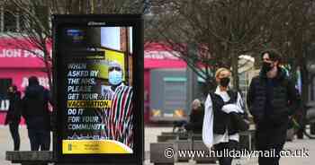 Covid-19 cases, deaths and hospitalisations in Hull and East Riding - daily figures on March 28 - Hull Live