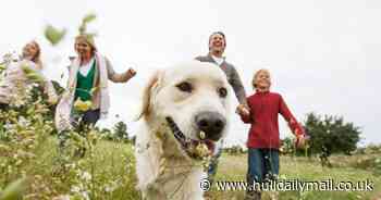 Hull people reflect on their biggest achievements during lockdown - Hull Live