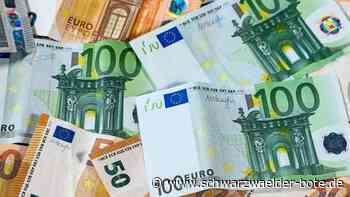 Wildberger Finanzplanung: Gemeinderat verabschiedet Haushalt "auf Sicht"