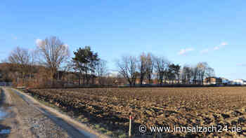 Neuer Multifunktionsplatz in Aschau am Inn: Kunstrasen und Mountainbikestrecke für die Sportler