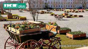 Farbenfrohes Frühlingserwachen im Sauerlandpark Hemer - IKZ News
