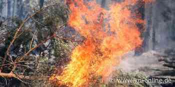 Samos: Waldbrand auf griechischer Insel außer Kontrolle
