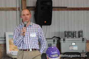 Plant-based proteins are not substituted for beef based on price